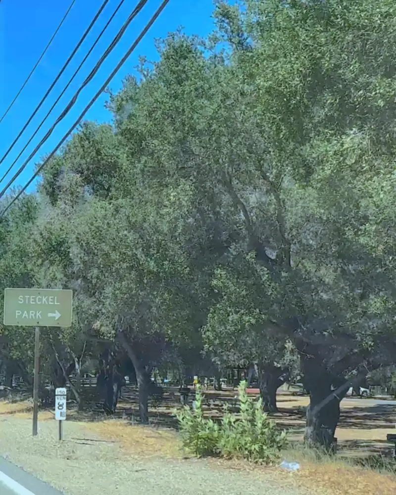 Steckel Park Camping With 3 Dogs: Our Honest Review of This Oak-Shaded Campground Steckel park sign under big shade trees on the road into the park